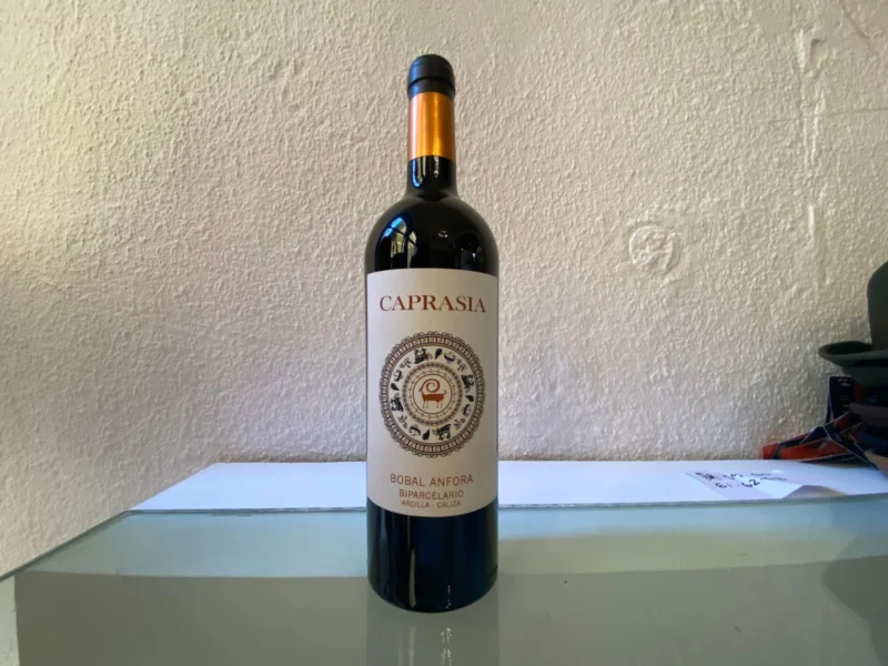 Vino Tinto Caprasia Bobal - Anfora