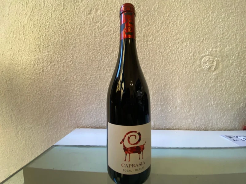 Vino Tinto Caprasia Bobal-Merlot