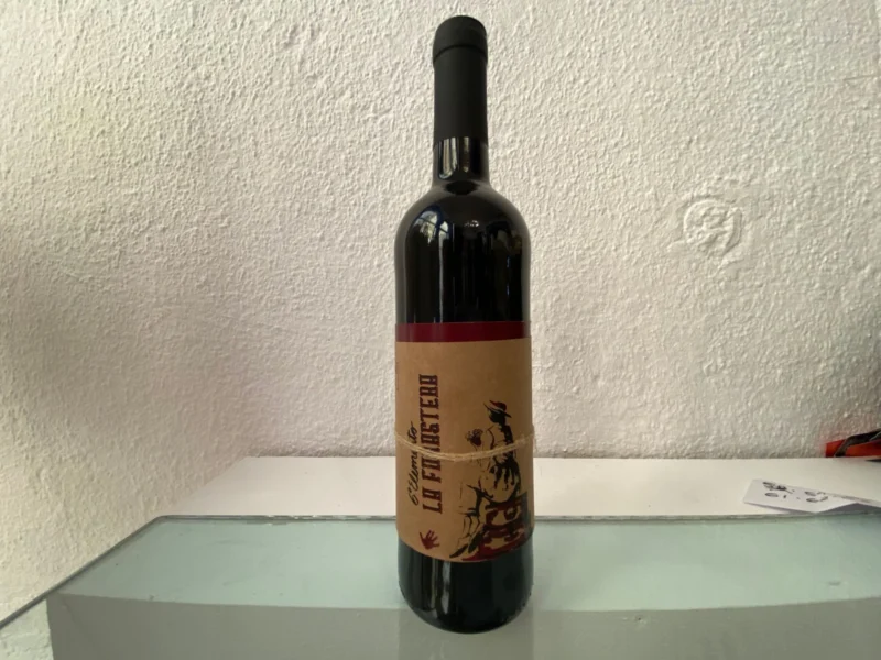 Vino Tinto La Forastera