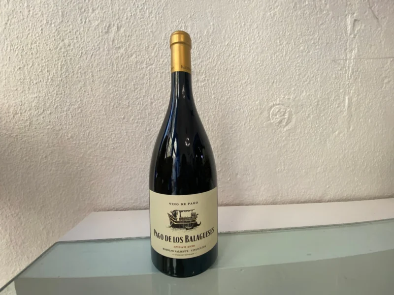 Vino Tinto Magnum Pago de los Balagueses Syrah