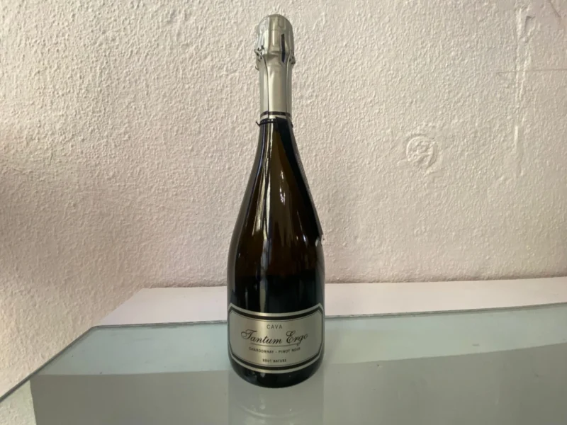 Cava Tantum Ergo Chardonnay-Pinot gris
