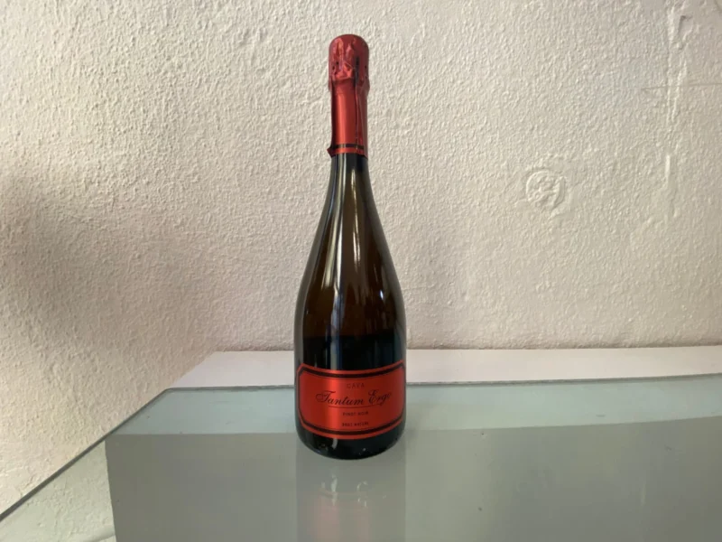 Cava Tantum Ergo Pinot noir roig