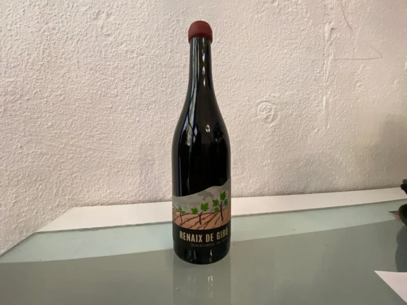 Vino Tinto Renaix Giró